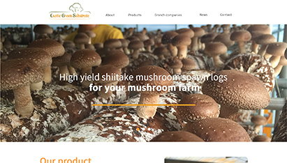 青島網(wǎng)絡(luò)營(yíng)銷